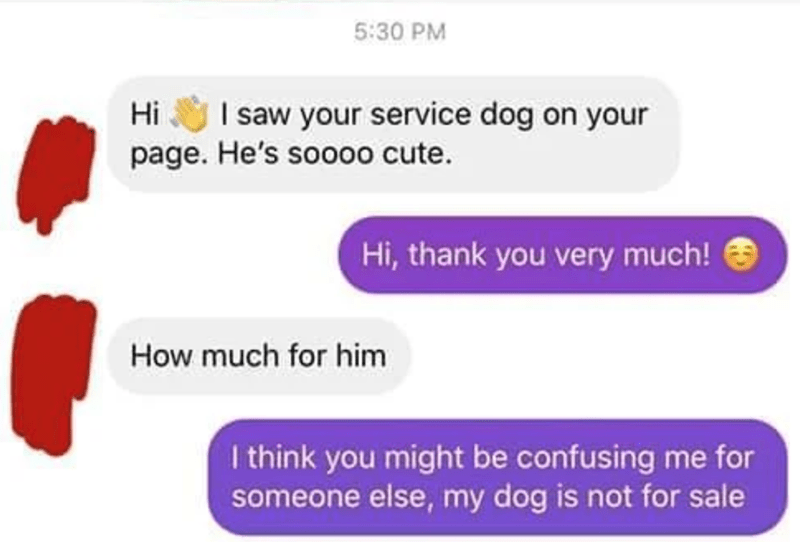 Entitled Mom Tries To Buy Someone S Service Dog And Throws A Fit When Denied