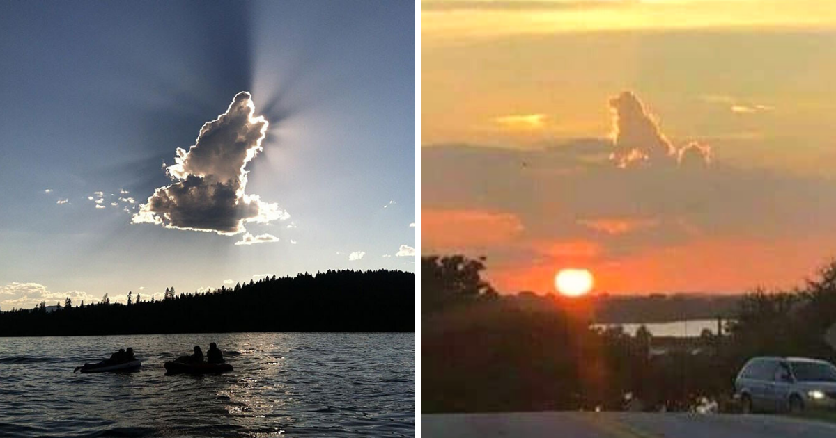Dog Shaped Clouds That Prove All Doggos Go To Heaven
