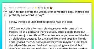 Soccer Player Unintentionally Hits The Dog, Apologizes To The Owner But Refuses To Pay The Vet Bills
