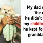15 Moms And Dads Who Didn’t Want A Pet But Instantly Changed Their Minds After Seeing Them