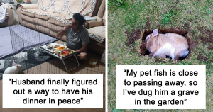 50 Hilarious Memes About Bunnies That Show They Are Little Jerks