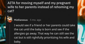 Pregnant Wife Gets Allergic To Cats, Wants Husband To Rehome His Cat, Husband Refuses And Wants Wife To Move Out To Her Parents Home