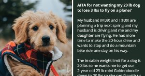 Husband Wants Wife To Restrict The Diet Of Their 23 Lbs Dog To Make Her Lose 3 More Lbs To Fly On A Plane, Wife Refuses