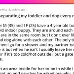 Husband Gets Mad At His Wife For Separating Their Toddler From Their Dog Every Now And Then