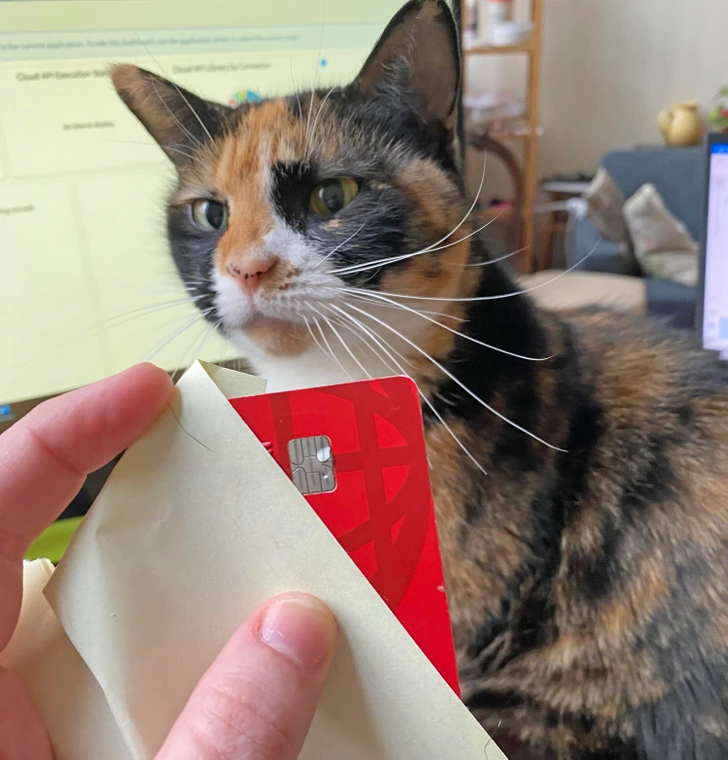 cat-card